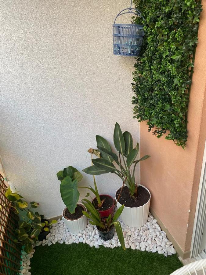Appartement Costa Azul